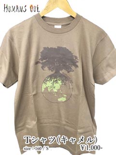 T�V���c(�u���b�N)